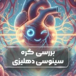 گره سینوسی دهلیزی (SA Node)
