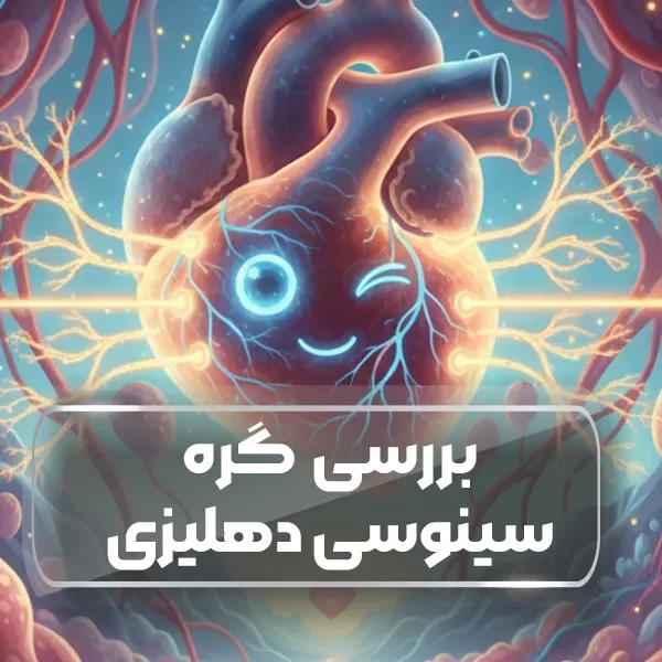 گره سینوسی دهلیزی (SA Node)