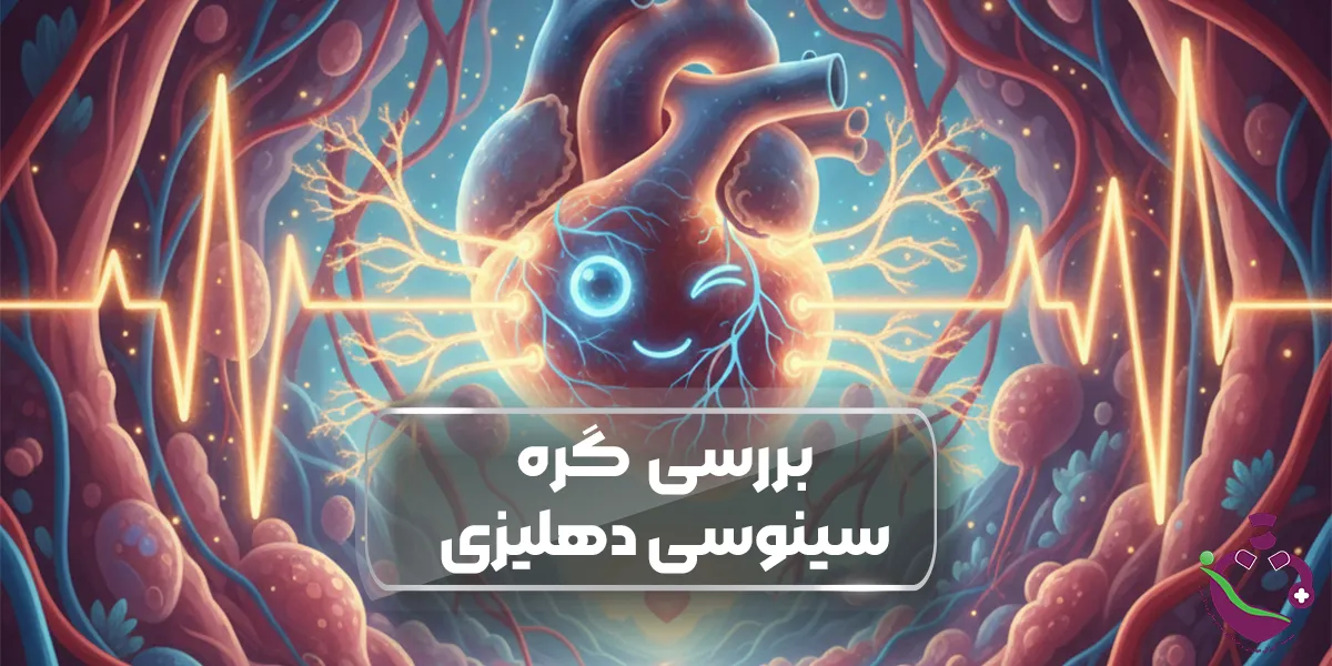 گره سینوسی دهلیزی (SA Node)